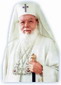 Patriarhul Teoctist Arăpaşu